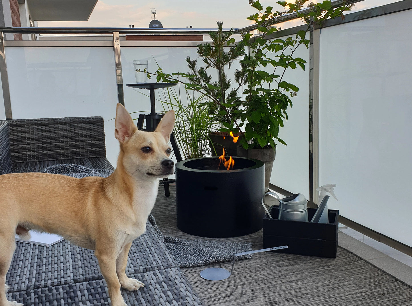 Biokamin Moon Schwarz Matt - IgnisLumina.ch