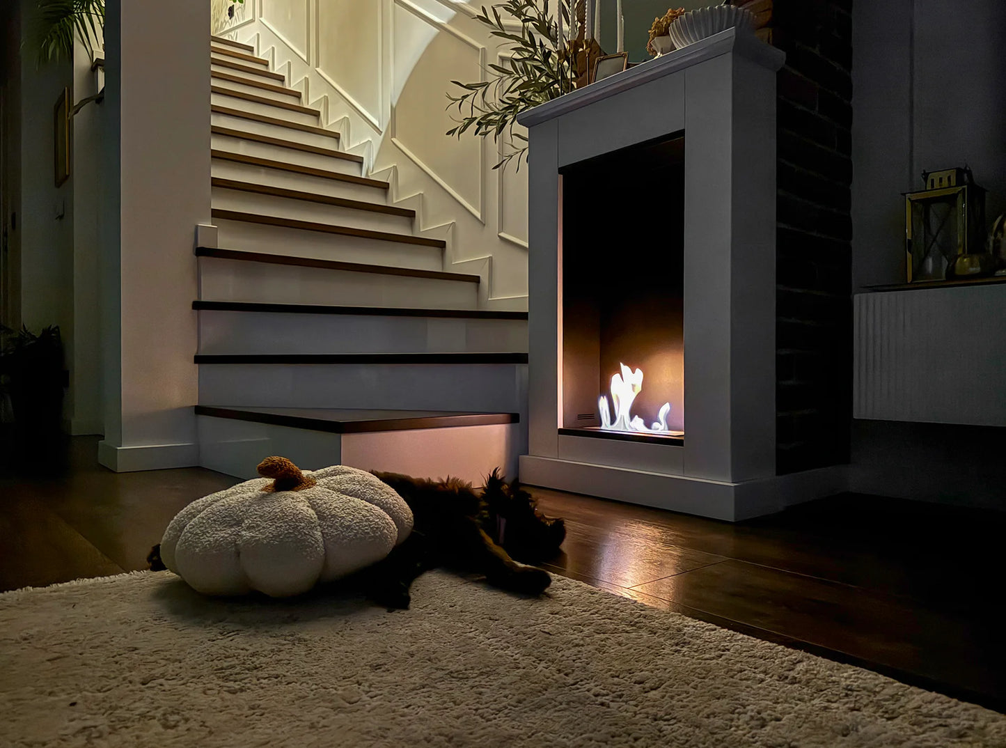 Biokamin Portal Pula Mini - IgnisLumina.ch