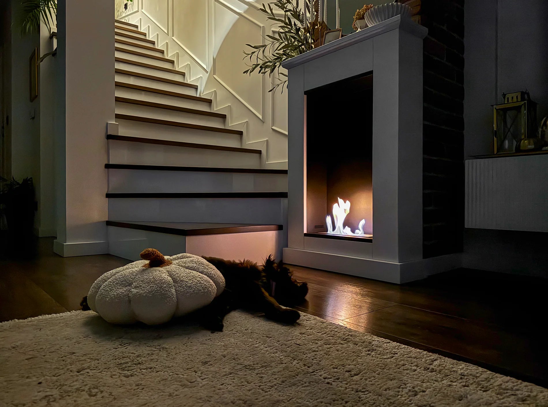 Biokamin Portal Pula Mini - IgnisLumina.ch