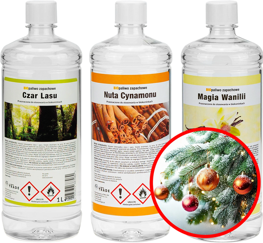 Bioethanol Set Weihnachtszauber - IgnisLumina.ch