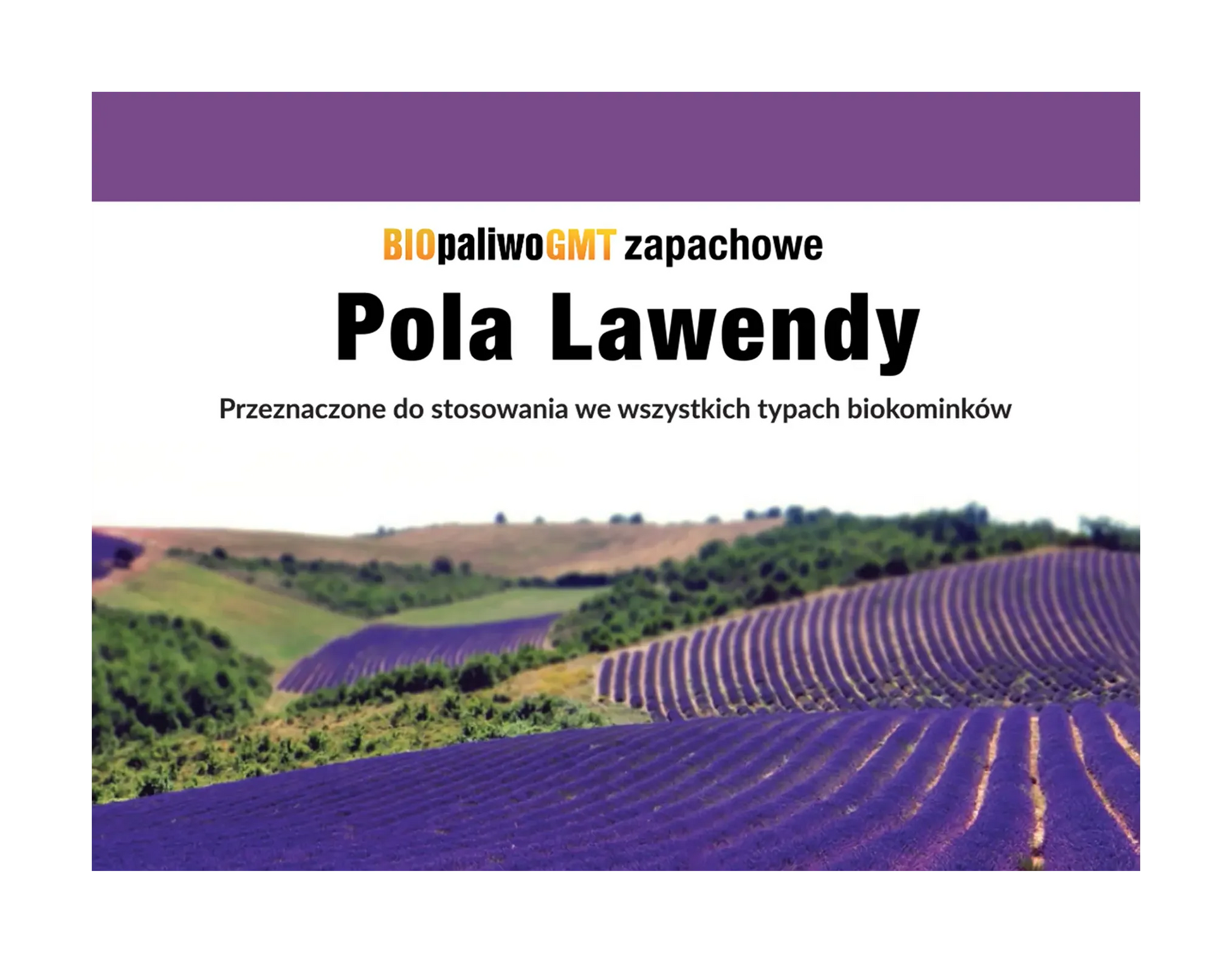 Bioethanol Set Lavendelfelder 3x1L - IgnisLumina.ch