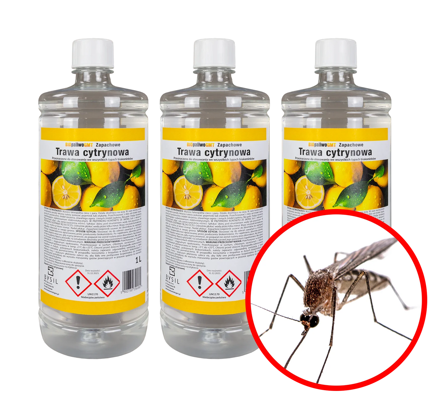 Bioethanol Set Zitronengras - IgnisLumina.ch