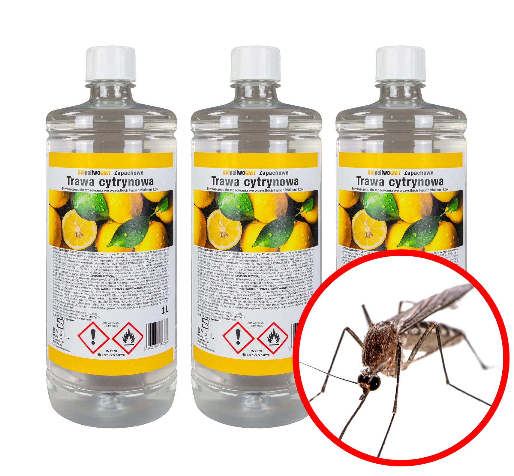 Bioethanol Set Zitronengras - IgnisLumina.ch