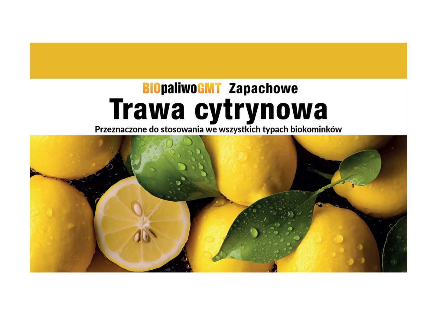 Bioethanol Set Zitronengras - IgnisLumina.ch