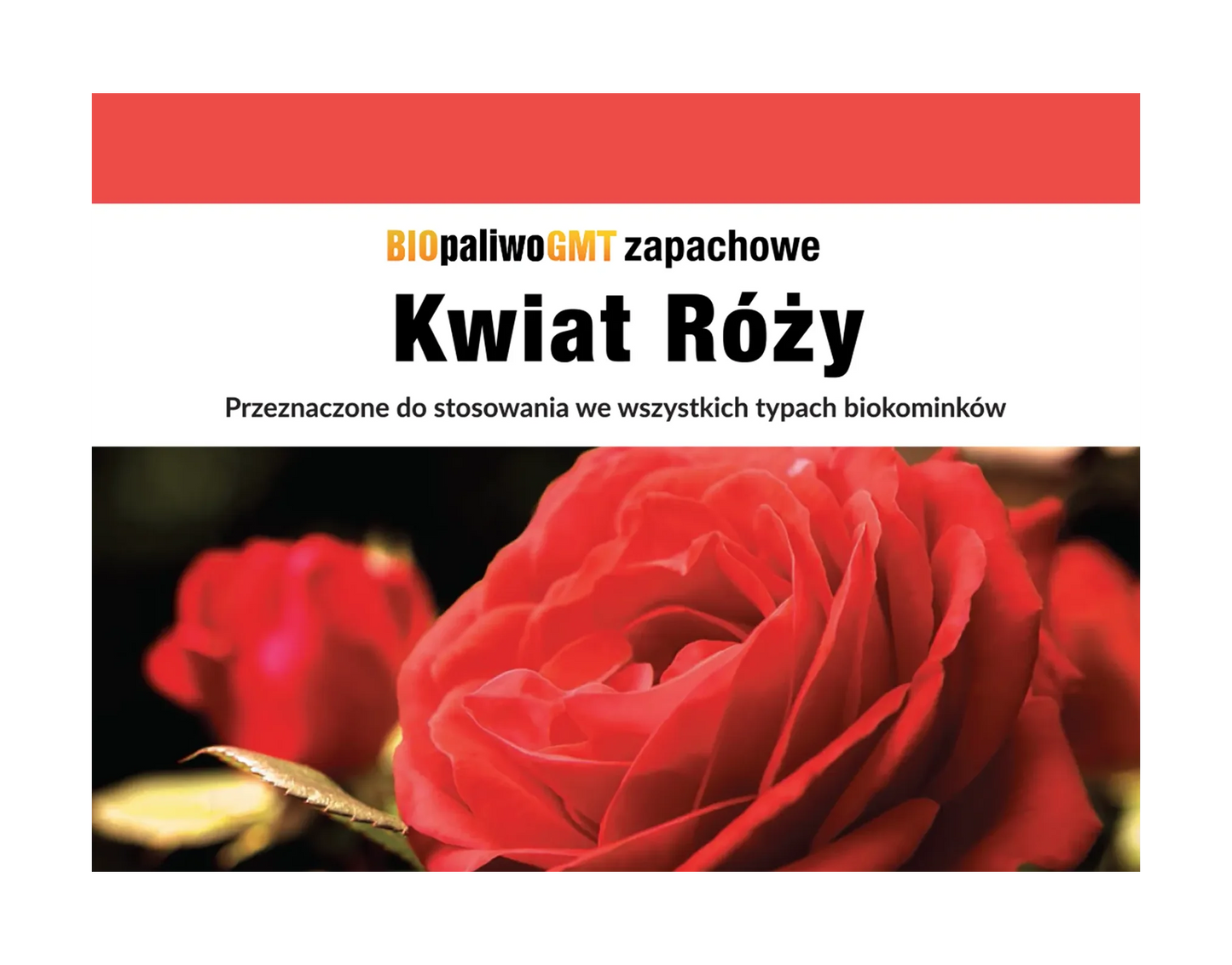 Bioethanol Set Sinnliches Trio - IgnisLumina.ch